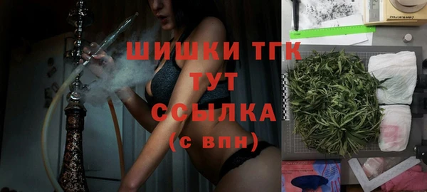 сатива Новокубанск
