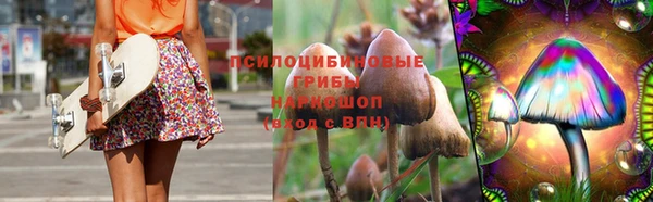 ПСИЛОЦИБИНОВЫЕ ГРИБЫ Аксай