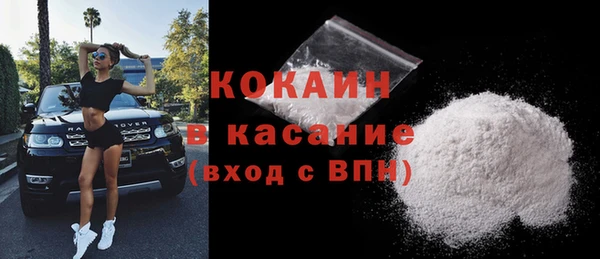сатива Новокубанск