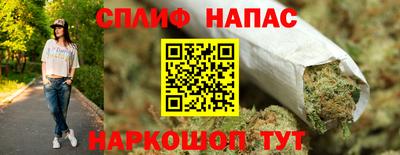 молекула духа Будённовск