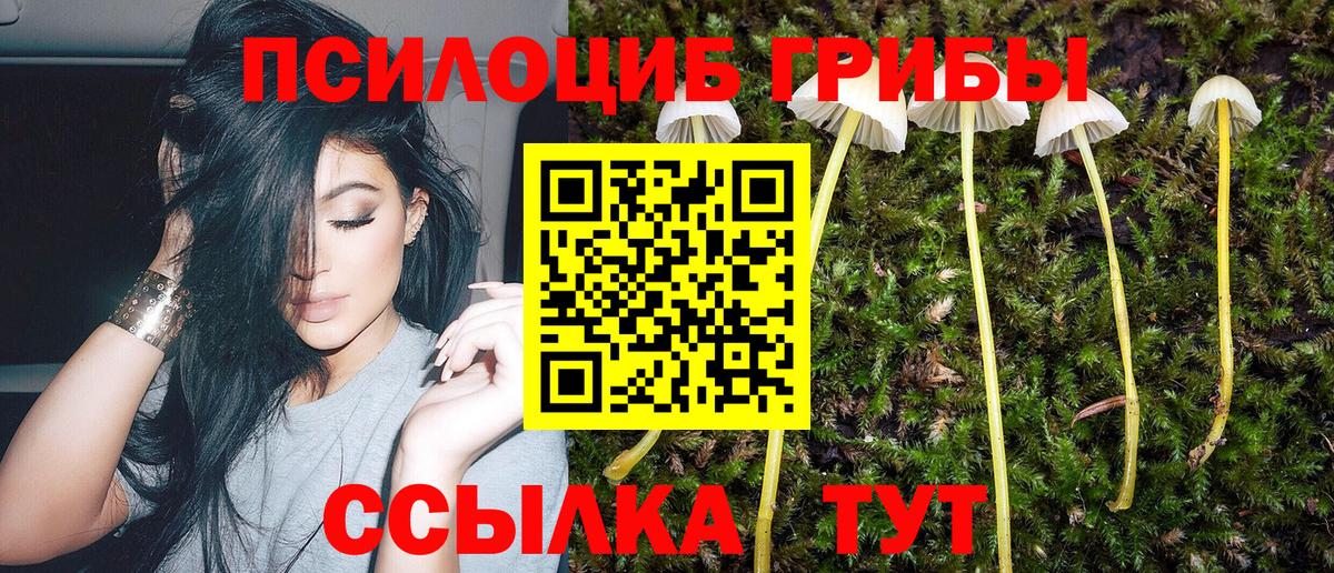 Набережные Челны  Галлюциногенные грибы ЛСД  Вход с VPN  Псилоцибиновые грибы Psilocybine cubensis 