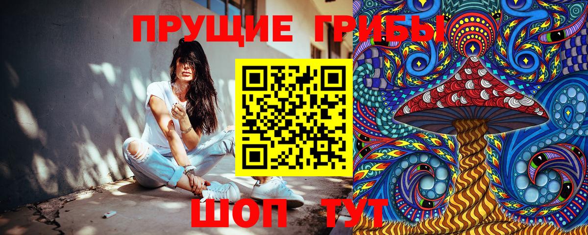 Галлюциногенные грибы Psilocybe Набережные Челны